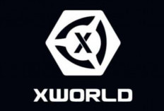Cara Mendapatkan Uang di X World APK Terbaru 2024, Pengguna Baru Bisa Dapat Ratusan Ribu Langsung!