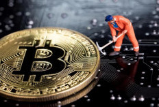Link Mining Bitcoin Gratis Terbukti Membayar Terbaru 2024, Bisa Untuk Pemain Lama dan Pemula!
