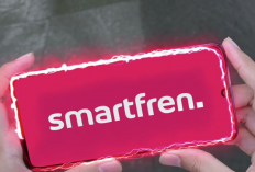 Smartfren Gangguan Hari Ini, 2 Agustus 2024 : Tak Perlu Panik! Begini Cara Mudah Atasi Masalah Hilang Sinyal