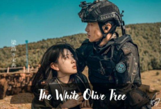 Link Nonton Drama China The White Olive Tree (2025) Full Episode Sub Indo, Kisah Cinta Reporter dan Penjinak Bom 