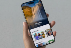 Quand Sort iOS 18 Dernières Fonctionnalités, Calendrier De Sortie Et Liste Des Iphones Qui Recevront La Mise À Jour