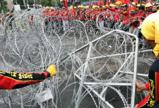 Massa Ricuh! Demo APDESI Berujung Blokade Tol hingga Lubangi Tembok DPR Pakai Palu