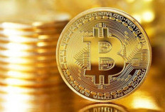 Prediksi Coin Crypto yang Akan Naik Tahun 2025, Diperkirakan Melonjak Hingga $1000!
