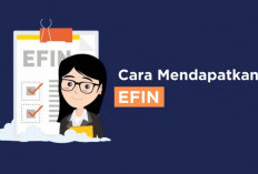 Cara Mendapatkan EFIN Secara Online Terbaru 2024, Tanpa ke Kantor! Cek Syarat dan Ketentuan Wajibnya