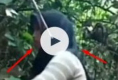 Link Video Viral Pacitan Neng Alas No Cut No Sensor HD Siswa SMP Terciduk Main Gituan di Kebun Warga