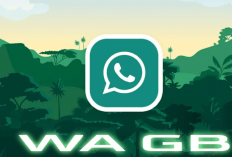 Télécharger Gb WhatsApp APK MOD 2024, Des centaines d'éléments ouverts permanents!