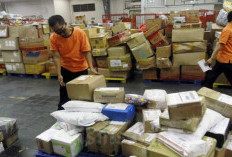 Loker PT GlobeX Logistics Indonesia Penipuan? Waspada! Cek Faktanya dan Kenali Lowongan Palsu Disini 