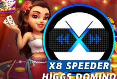 Download Mod Apk Higgs Domino X8 Speeder Update Mei 2024, Ukuran File Ringan untuk Diunduh!