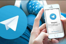 Grup Telegram Penghasil Uang Terbaru 2024 Masih Aktif, Gabung Sekarang dan Jalankan Misi Berhadiah!