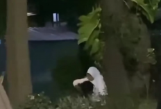 Video Mesum Pasangan di Taman Sekartaji Kediri Viral Facebook Hingga TikTok, Warganet: Cinta Tak Selamanya Indah Adek!