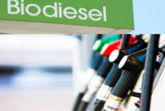 Harga Bioetanol Bulan Mei 2024 Per Liter Telah Resmi di Sahkan Kementerian ESDM! Dipatok Harga Segini Per Liternya