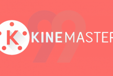 KineMaster - Editeur Vidéo en version APK, Android, iOS 2024, De nombreuses fonctions pro débloquées