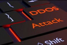 Rekomendasi Aplikasi DDoS Attack PC Paling Gacor Update 2024, Cek Disini dan Praktekkan Sekarang Juga! 