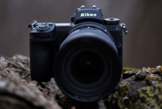 Nikon Z6 iii Prix Nouveau Lancé le 17 Juin 2024, : Appareil Photo Sans Miroir de Milieu de Gamme Compétent