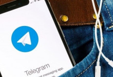 Kenapa Telegram Memperbarui Terus? Inilah Penyebab dan Cara Mengatasinya di Android dan Iphone!