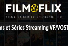 FilmoFlix Nouvelle Adresse en Septembre 2024 Pour Android, iOS et PC : Still Active ! Streaming Gratuit VOSTFR & VF Films en Série