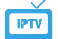 Download M3U Playlist IPTV Android 2024: L'actualité mondiale au creux de votre main