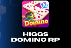 Link Download Higgs Domino RP X8 Speeder Tanpa Iklan 2024, Ada Tombol Kirim yang Aktif!