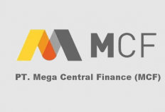 Info Lowongan Kerja PT Mega Auto Finance Februari 2024, Ikuti Syarat dan Ketentuannya!