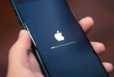 iPhone Bloqué Sur Le Logo Apple : Pas de Panique ! Il s'agit Des Premiers Secours en Cas de Périphérique Bloqué !