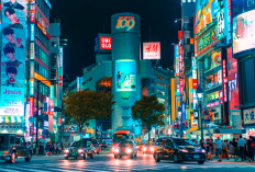 Study Abroad in Japan 2024 : Comment Étudier à L'étranger au Japon ? Étapes à Suivre Pour Les Étudiants Étrangers