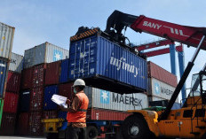 PT. Asialink Logistik Indonesia Apakah Penipuan? Viral TikTok Dengan Ragam Review!