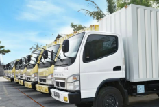 Loker PT Multi-Link Logistics Indonesia Penipuan Atau Tidak? Ini Dia Review Perusahaannya
