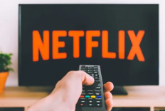 Netflix télécharger des films et séries sur PC APK,des centaines de films et de fictions à regarder gratuitement