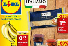 Offres Choc! Catalogue Lidl Cette Semaine du 14 au 20 Août 2024 Ce Que Vous Ne Devez Pas Manquer 