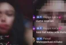 Link Video Live TikTok Sidrap Viral Full HD No Sensor, Main Kuda-Kudaan Bareng Mantan Pacar