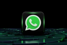 Download GB WhatsApp Pro v19.89 APK Terbaru 2024 [Gratis], Unlocked Semua Fitur dan Recovery Pesan Dihapus