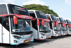  Heboh! PO Bus Nagita Transport Viral, Benarkah Milik Nagita Slavina? Direktur Utama Angkat Bicara!