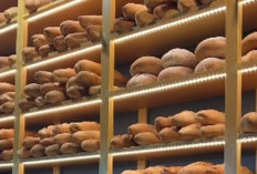 Kasus Circles Bakery Jogja Plagiat Toko Roti di Australia Nggak Nyang Plek Ketiplek Dari Design Logo, Konsep, Penyajian, Menu, dan Interior