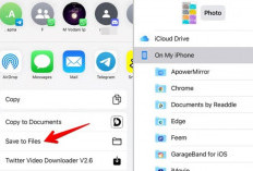 Comment Mettre Une Photo en PDF sur iPhone Sans Qu'il Soit Nécessaire D'installer Des Applications Supplémentaires