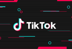 Comment Télécharger des vidéos TikTok Sans Filigrane le plus facilement possible et gratuitement, osez essayer ?