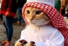 Download Meme Kucing Ramadhan FF SG 2 Viral TikTok Gratis, Ganti Foto Profilmu Segera!