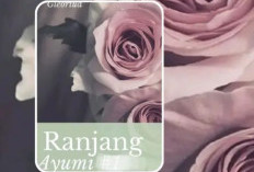 Sinopsis Novel Ranjang Ayumi (Setahun Menikah Masih Perjaka), Rumah Tangga Ayumi dan Adit Dipenuhi Teka-Teki