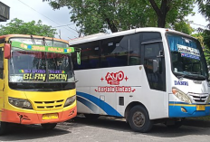 Jadwal Bus Bojonegoro – Ngawi PP 2024 dan Harga Tiketnya, Hanya Bisa Muat 30 Penumpang Tiap Perjalanan