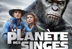 Voir La planète des singes: L'affrontement (2024) VOSTFR Film Complet 1080p Humains Et Les Singes Intelligents Luttent Pour Domine