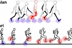 Perbedaan Antara Jalan dengan Lari Terletak Pada Apanya? Mari Simak Faktanya Berikut Ini Ya!