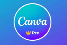 Download Canva Pro Mod Apk Premium Unlocked Latest Version 2024, Buka Semua Fiturnya Sekarang