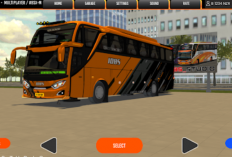 Download Livery Bus Simulator X dan Cara Pasangnya 2024, Gass Unduh Sekarang Biar Tampilan Makin Keren!