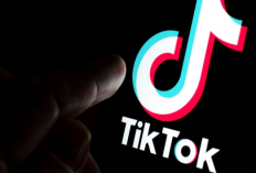 Comment obtenir des pièces de tiktok gratuites août-septembre 2024 ? Le tutoriel est si facile !