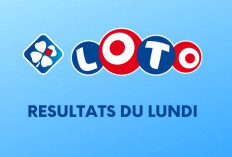 Les Résultats du Lotto Mercredi 26 Juin 2024, Sont Déjà Publiés ! Utilisez-le et Partez à la Conquête de la Victoire