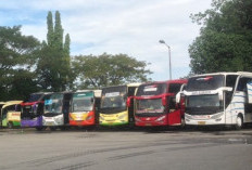 Jadwal Bus Bojonegoro - Bungurasih Terbaru 2024 Dan Harga Tiket Terbaru: Panduan Lengkap untuk Perjalanan Anda