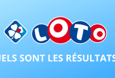 Résultats LOTO FDJ du 22 Juin 2024, dernier tirage en ligne!