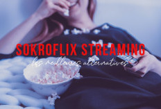 Dernier Lien Alternatif Sokroflix 2024, Binge-watching Sans Interruption !