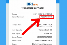 Cara Cek Nomor Referensi Transfer Bank BRI Terbaru 2023, Mudah Banget Liatnya!