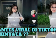 Video Felvivia Viral di TikTok Twitter, Pantes Jadi Inceran! Ternyata Begini Isi Video Aslinya