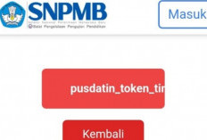 Ini Dia Penyebab Pusdatin Token Timeout dan Cara Ampuh Untuk Mengatasinya, 1000% Work!